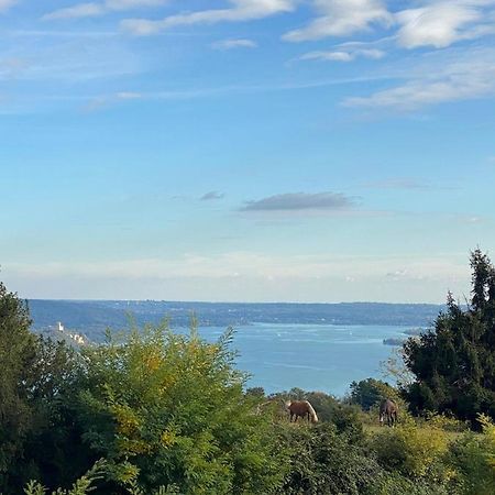 La Garconnierre Del Lago Maggiore Nebbiuno Екстериор снимка