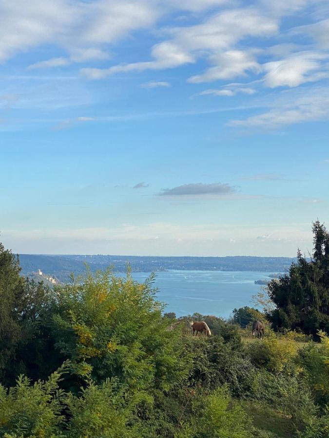 La Garconnierre Del Lago Maggiore Nebbiuno Екстериор снимка